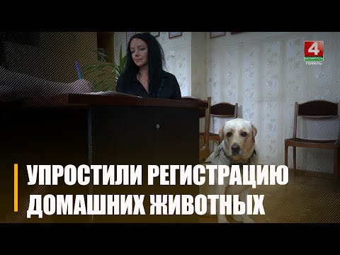 Речицкий район первый на Гомельщине упростил регистрацию домашних животных видео