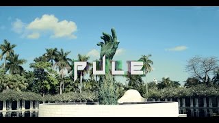 Dollars & Sense - Pule feat. Buckie Blitz