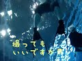 013?????????
