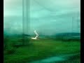 Short drive with my Baywindow...