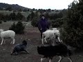 MOV079.MOD