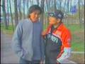 Melitsia  kyrgyz 