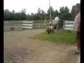 videos de Wheelbarrow extravaganza!