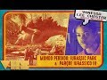 ver trabalho Sequelas Jurassic Park