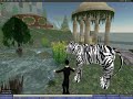Tiger Sam