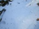 skating in the snow