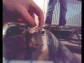 Improvisation - The Summer Experiment