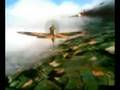 Combat Flight Simulator 3 distroy