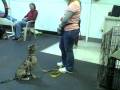 Dec 01 2008 - VID00039.AVI