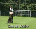 Schutzhund Sem van Adelrik escape bite