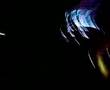 canto del loco mucia