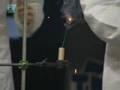 Nieuws uit de Natuur - De werking van Vuurwerk