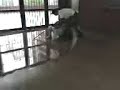Mich la Tira a Tati al Agua Cole Bermejo Mich la Tira a Tati al Agua Cole Bermejo