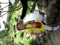 videos de Dalat 3
