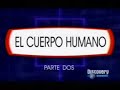 el cuerpo humano 2