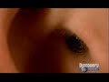 el cuerpo humano 2