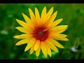 Let The Sun Shine - Alec Empire