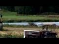 Waldviertler - Trailer
