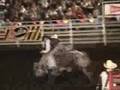 Bull Riding Gear