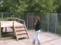 Take a tour of Many Tears Rescue