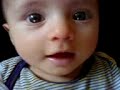 noshi