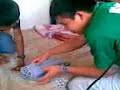 Agua dulce papantla ver.(pollo asesino)