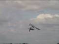 Birdman Gets Airborne