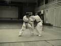 Zado sparring digest 1