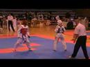 Tiger Taekwondo - ?�rka Moravcov�