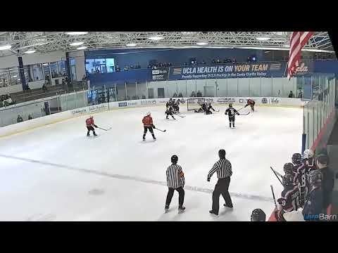 Sheffield #37 takes puck down passes, checks, draws penalty