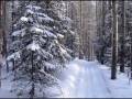 videos de STAMATIS SPANOUDAKIS  -  Impressions in winter