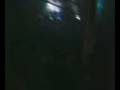 caracho 18-08-07