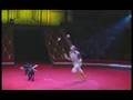Most unique animal circus act