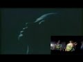 Ein VideoMashup zu Dj Schmollis 