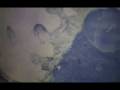 videos de Cais