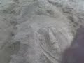 videos do bdr