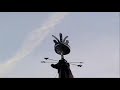 Muharram Procession 1430 (2009) - New York - Shahid Biltistani