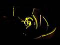  - MovieZen Video