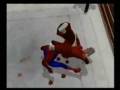 Old Spidey SCAW promo