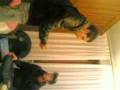 Super Boseeee in azione