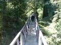 Pumalin, sendero de los alerces