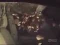 Aquarium Car Aquarium Car