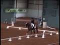 Deirdre Dressage