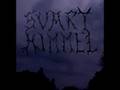 videos de Svart Himmel-The Last Path