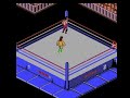 this is real wrasslin'!
