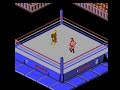 this is real wrasslin'!