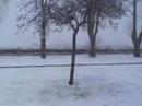 Snow fall in Kinloss