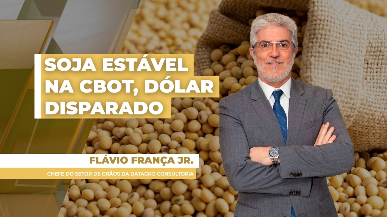 Soja fecha estável em Chicago, enquanto produtor no Brasil mira disparada do dólar nesta 4ª