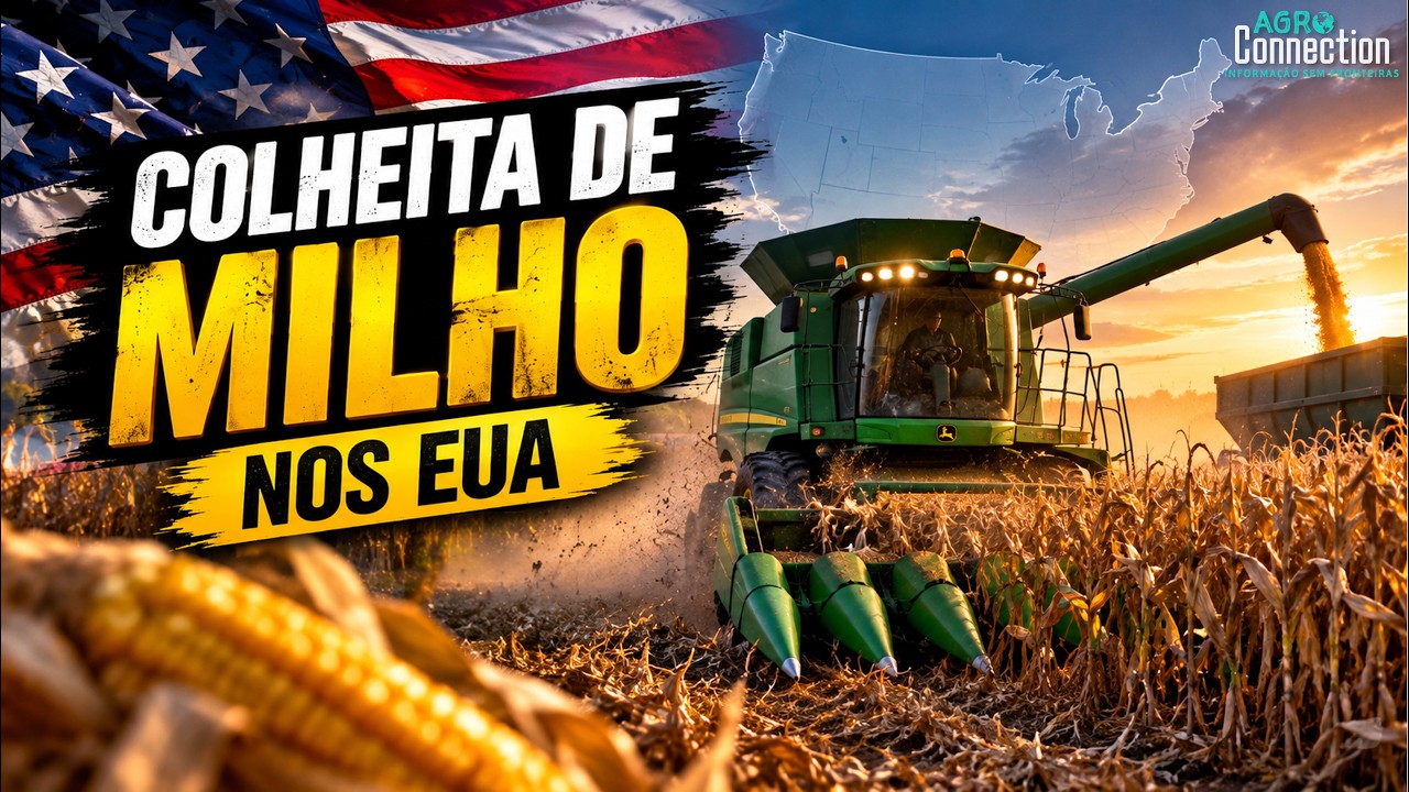 Safra Soja e Milho EUA 2026 - 7 de setembro - A colheita de milho começou