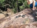 Cachu de Itaguara! Cachu de Itaguara!